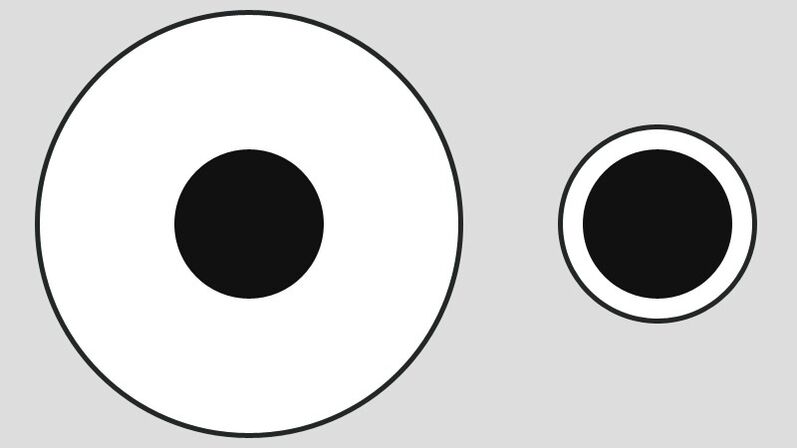 Delbeufova iluzija - različita percepcija veličine posluživanja na velikim i malim tanjurima