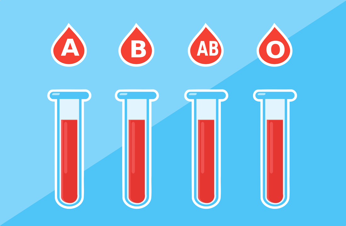 Postoje 4 krvne grupe - A, B, AB, O